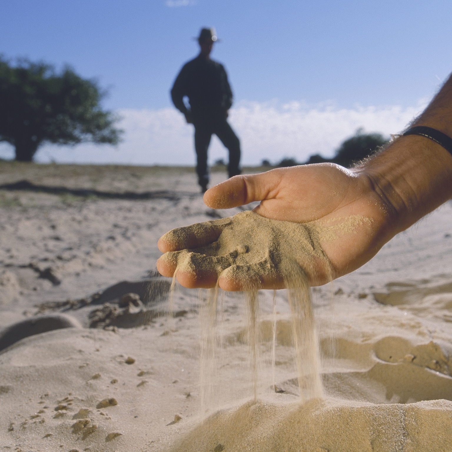 Will climate change decrease the food security of the world’s